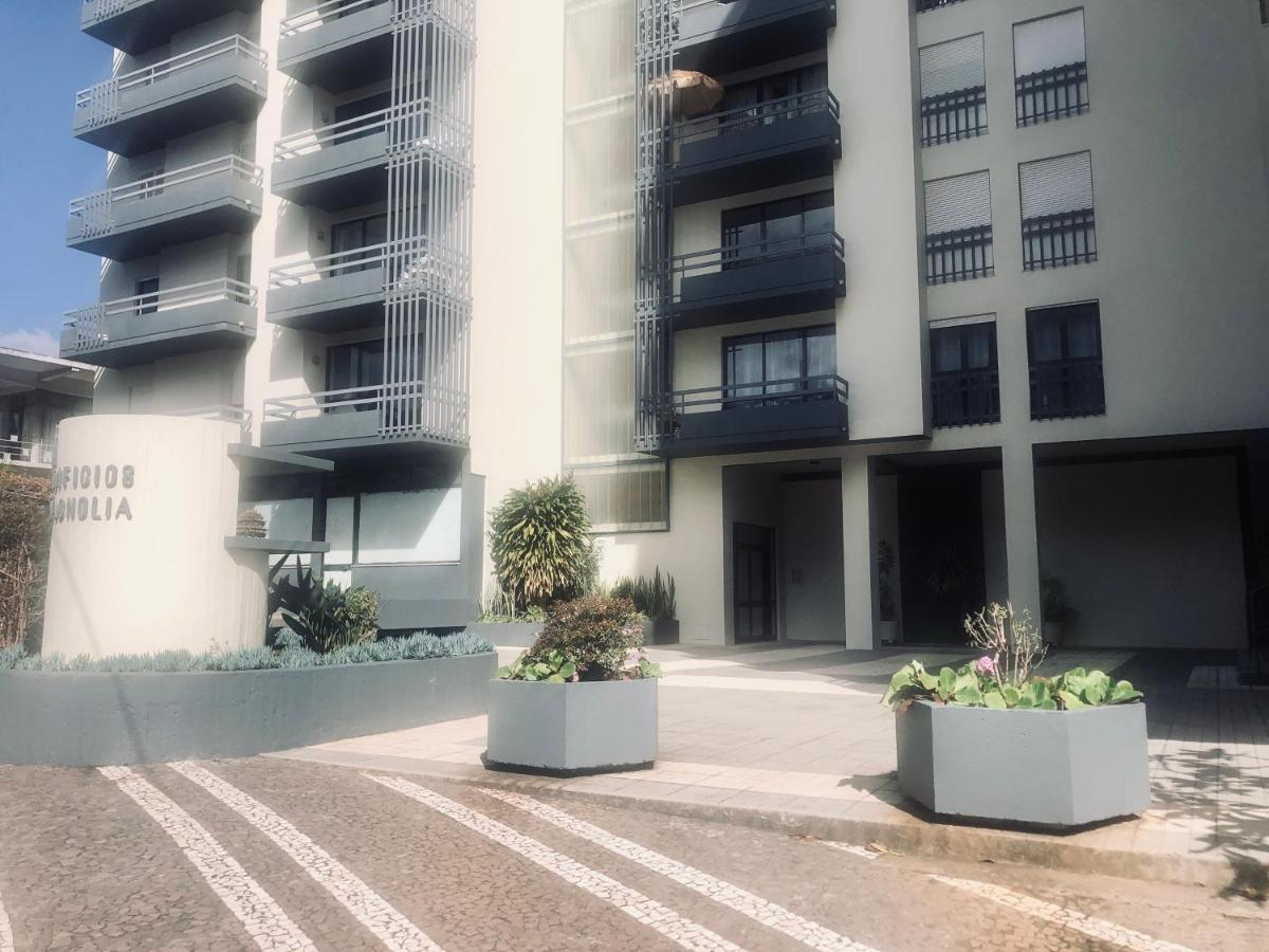 Blue River - Rua Dr Pita - Rooms Near Jardim Magnolia Funchal  Luaran gambar